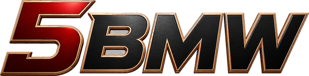 5bmw logo